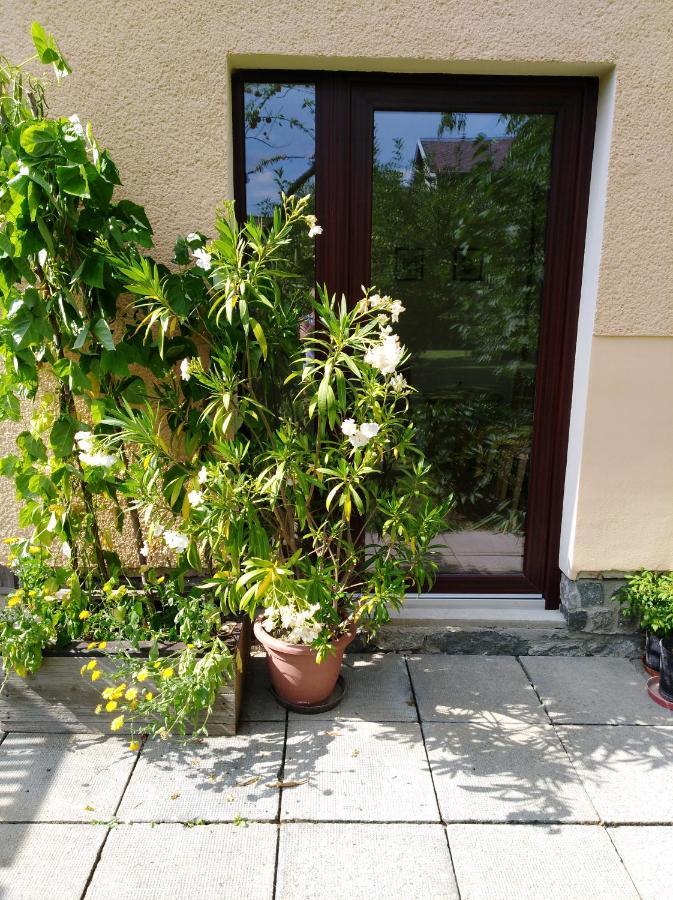 Ubytovani Bludov U Lazni Екстериор снимка